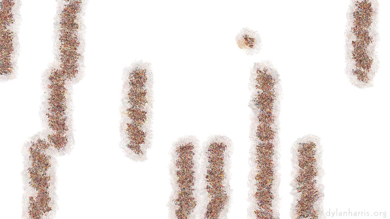 cdwetbleed01grain