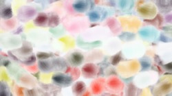 wet media wet :: cdwetbrushsoft
