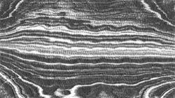 image: image from 3.0 general