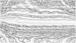 image: image from sketch soft with pen