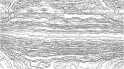 image: image from sketch soft with pen