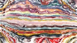 image: image from soft styles