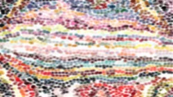 image: image from soft styles