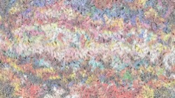 textures :: butterflywing1
