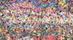 textures :: butterflywing2