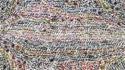 image: image from vibrant textures