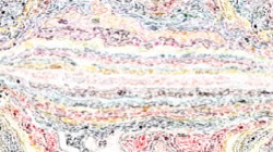 image: image from vibrant textures