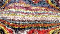wet paint :: smearcircles