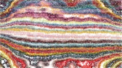 autopaint :: frothyedge1