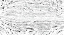 granular textures :: puffycolourflipper