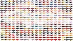 image brushes :: pentiltcolourisedbustex