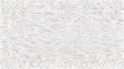 impressionistic :: imprssionisticmodulo1