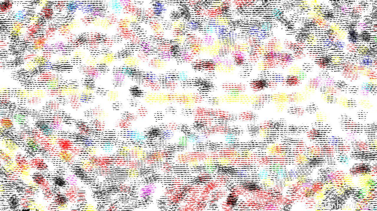 wetlines