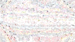 screen effects :: wetorientlines1