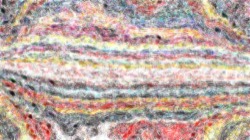 screen effects :: wetorientlines1b