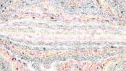 screen effects :: wetorientlines2