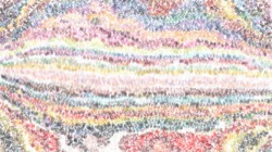 sponges :: clumpy3