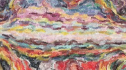 sponges :: squeg1