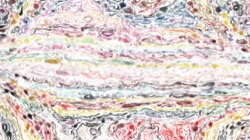 watercolour wet :: bristlewatercolour3