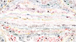 watercolour wet :: newwatercolour1