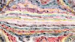 watercolour wet :: newwatercolour1b