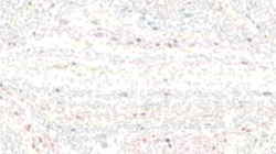 watercolour wet :: variabilitywatercolour1