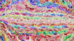 wet :: saturatedwet3b