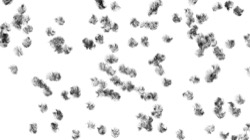 Image: image from wet turbulent