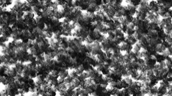 Image: image from wet turbulent