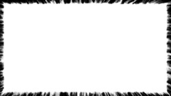 borders :: blackborderwet2