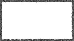 borders :: grayborder