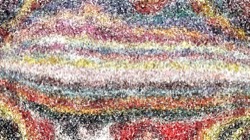 colour examples 1 :: wildone3