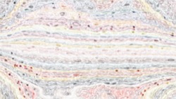density effects :: textureddarkener