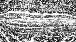 litho :: ovalhalftone1