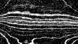 litho :: ovalhalftone1b