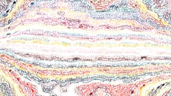 litho :: ovalhalftonecol1