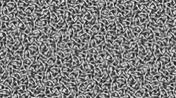 misc examples :: bktexcycle1