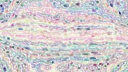 misc examples :: intuoscolourorientpaintsrc