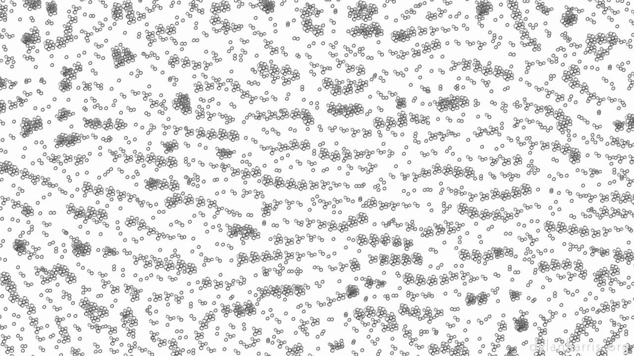 tadpoles