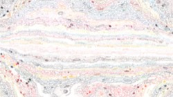 movie brush examples :: simplecloudbrush1