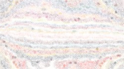cd media presets 2002 :: cdpastelfuzzy