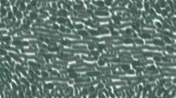 chuck's beta test 1 :: heightonlybrushmodulationmsg
