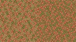 chuck's beta test 1 :: starincirclebrush