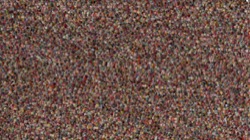chuck's particle brushes :: flockofparticles