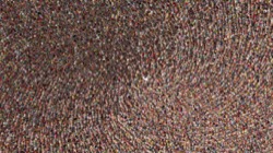 chuck's particle brushes :: tiltcontrolledeventhorizon