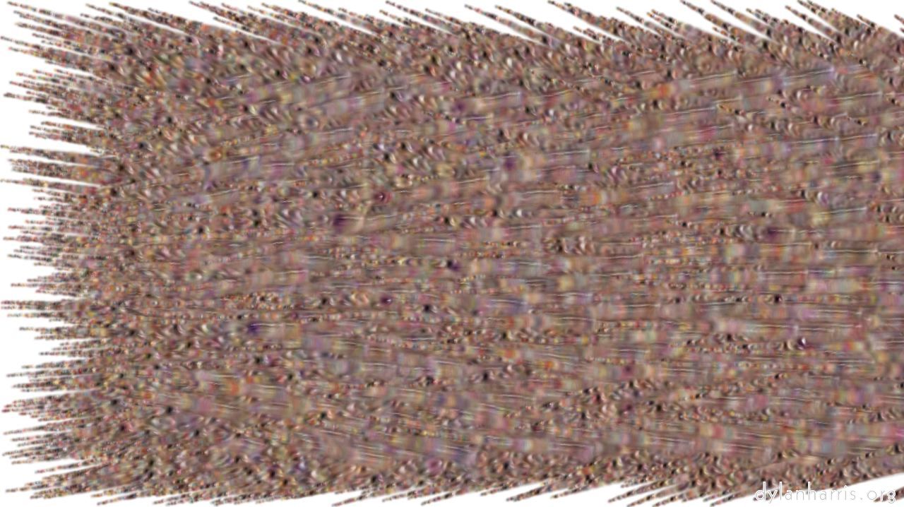 backtexparticlepath2maggots