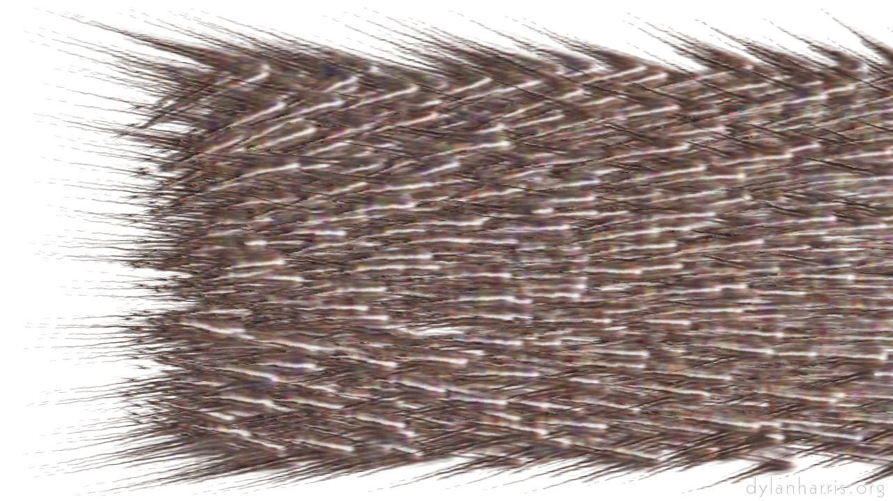 proceduralparticlepath2