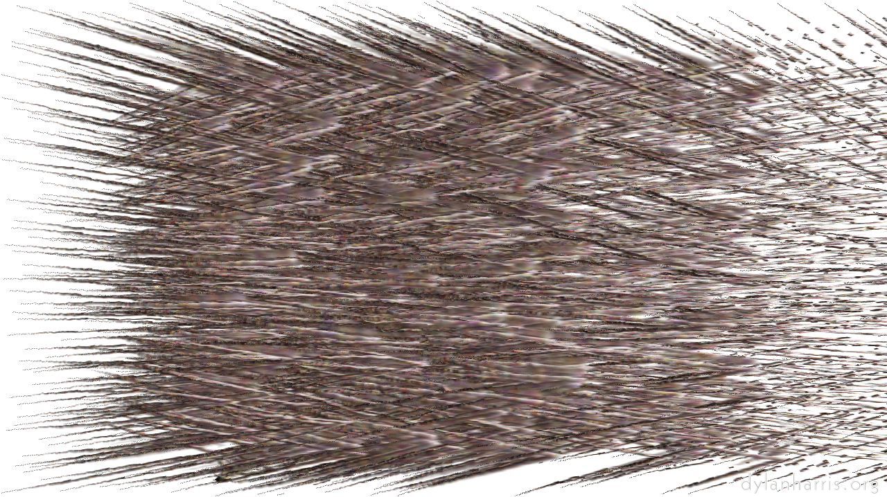 proceduralparticlepath4