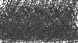chuck's shooting stars :: phasetransition3stringy