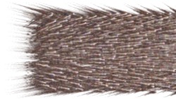chuck's shooting stars :: proceduralparticlepath2